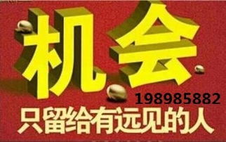 代理中的戰斗機 hz代理小顏，助您領航商海新高度